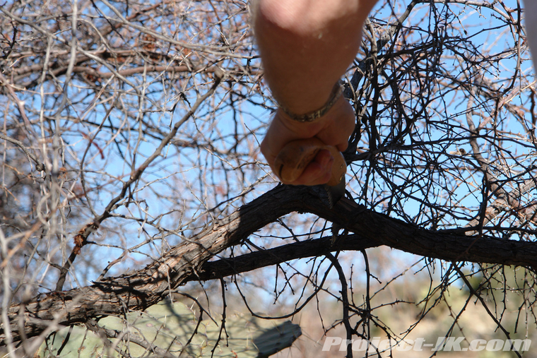 DSC08915_jeep_jk_wrangler