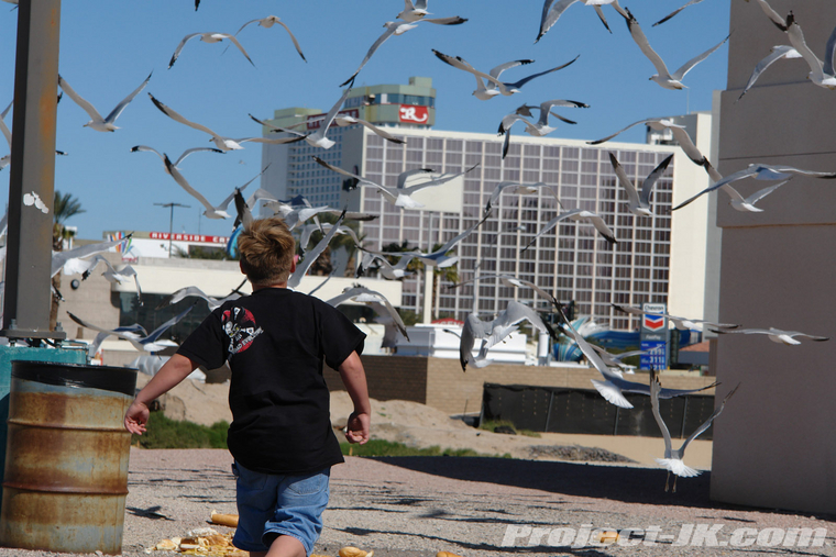 DSC09297_jeep_jk_wrangler