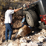 DSC09704_jeep_jk_wrangler