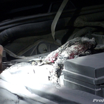 20110917222440.MTS.Still001