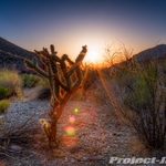 879C0621_2_3_4_5-pmp