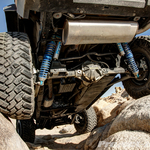 DSC01046dark_light_med_fus copy