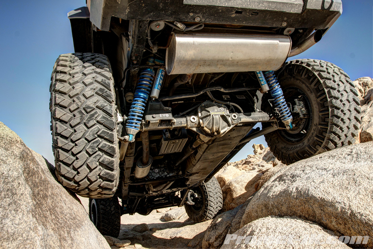 DSC01046dark_light_med_fus copy