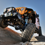 DSC01061dark_light_med_ton copy