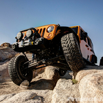 DSC01093dark_light_med_fus copy