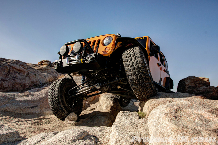 DSC01093dark_light_med_fus copy