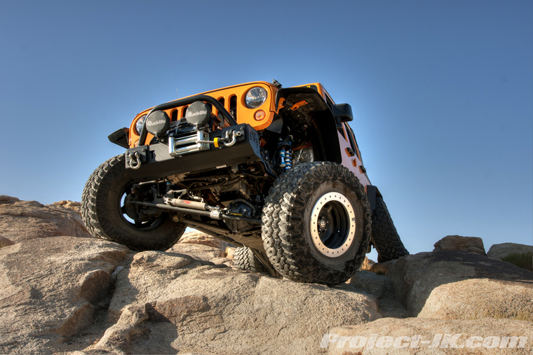 DSC01102dark_light_med_ton copy