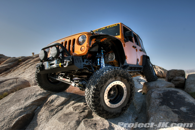 DSC01111dark_light_med_ton copy