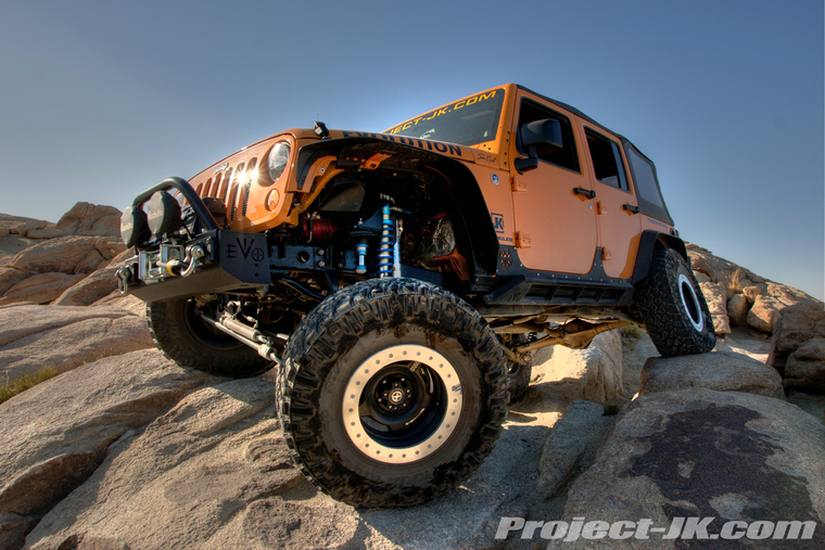 DSC01112dark_light_med_ton copy