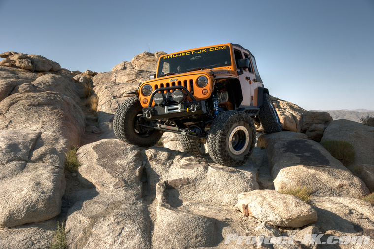 DSC01114dark_light_med_ton copy