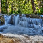 DSC03629-dark_light_med_to copy