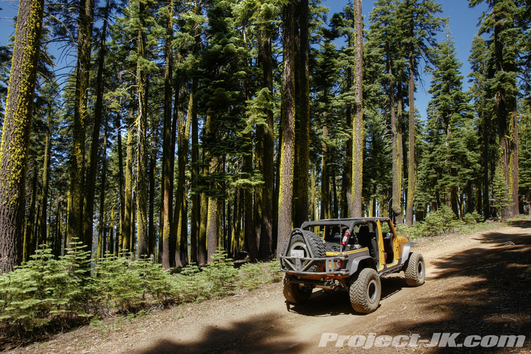 DSC05633_4_5_tonemapped-gold