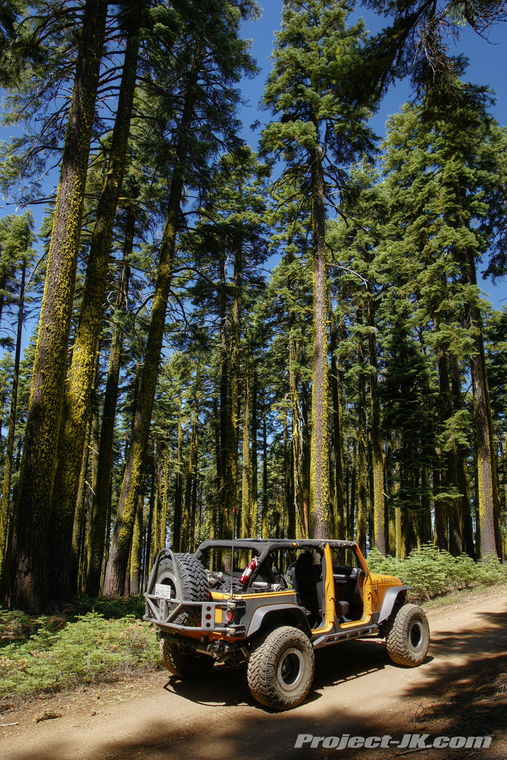 DSC05642_3_4_tonemapped-gold