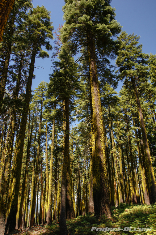 DSC05678_79_80_tonemapped-gold