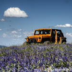 DSC05994_5_6_tonemapped-go copy