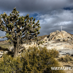 DSC02937_8_9_tonemapped-cr copy