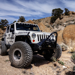 WALpaper-basscamp-03