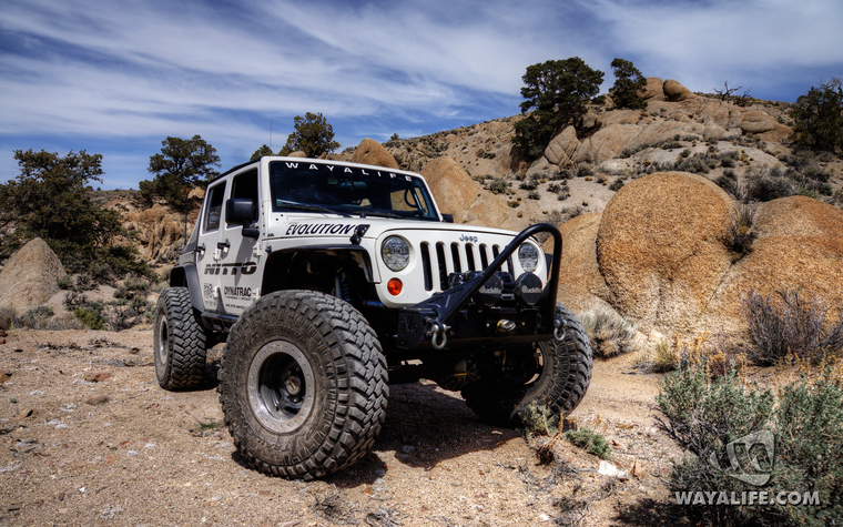 WALpaper-basscamp-03