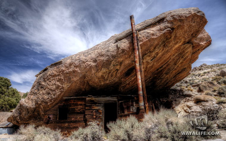 WALpaper-basscamp-08