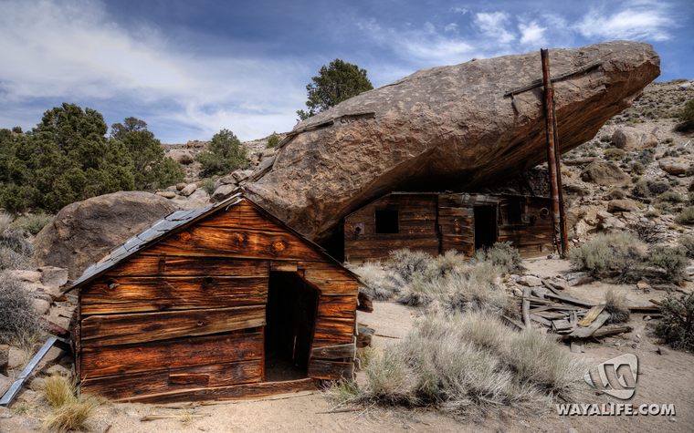 WALpaper-basscamp-11