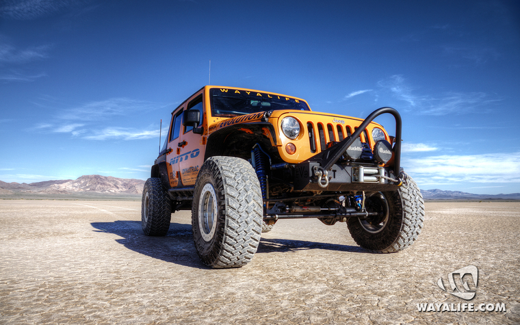 WALpaper-DTDrubicat-01