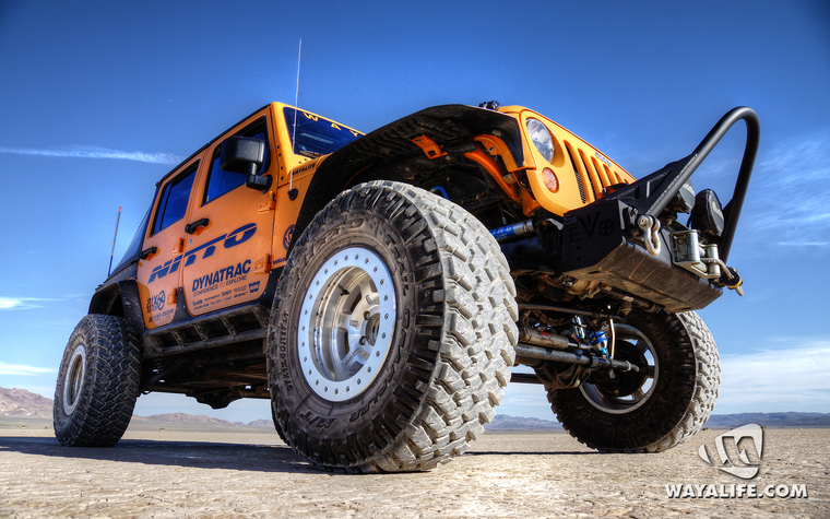 WALpaper-DTDrubicat-03