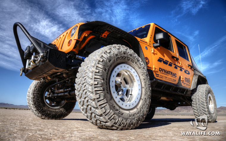 WALpaper-DTDrubicat-06