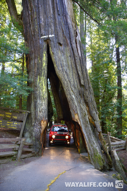 DSC09681_2_3_tonemapped-re copy