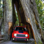 DSC09720_1_2_tonemapped-re copy