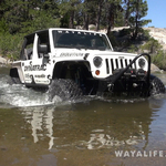 00013.MTS.00_00_43_10.Still003