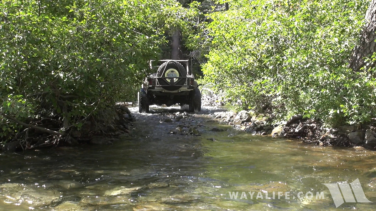 00025.MTS.00_00_36_50.Still001