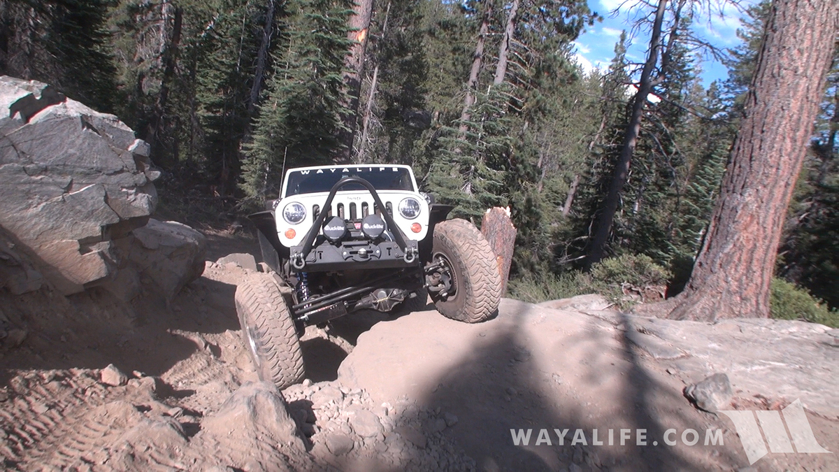 00119.MTS.00_00_56_24.Still001