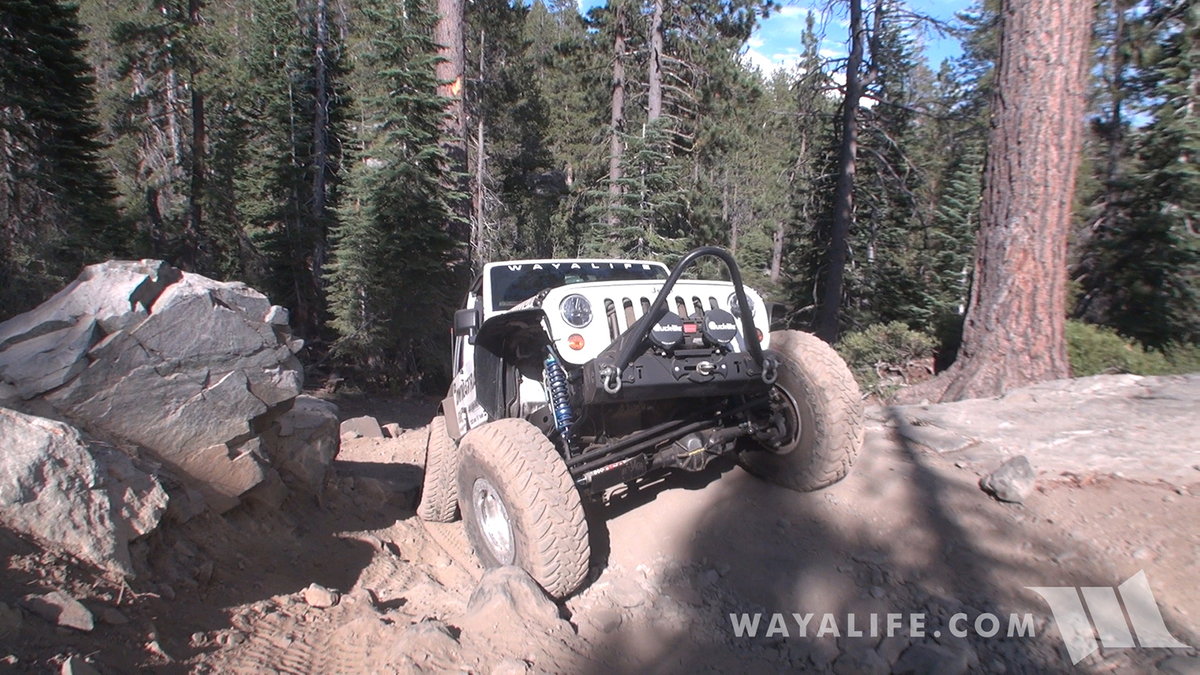 00119.MTS.00_01_02_43.Still002