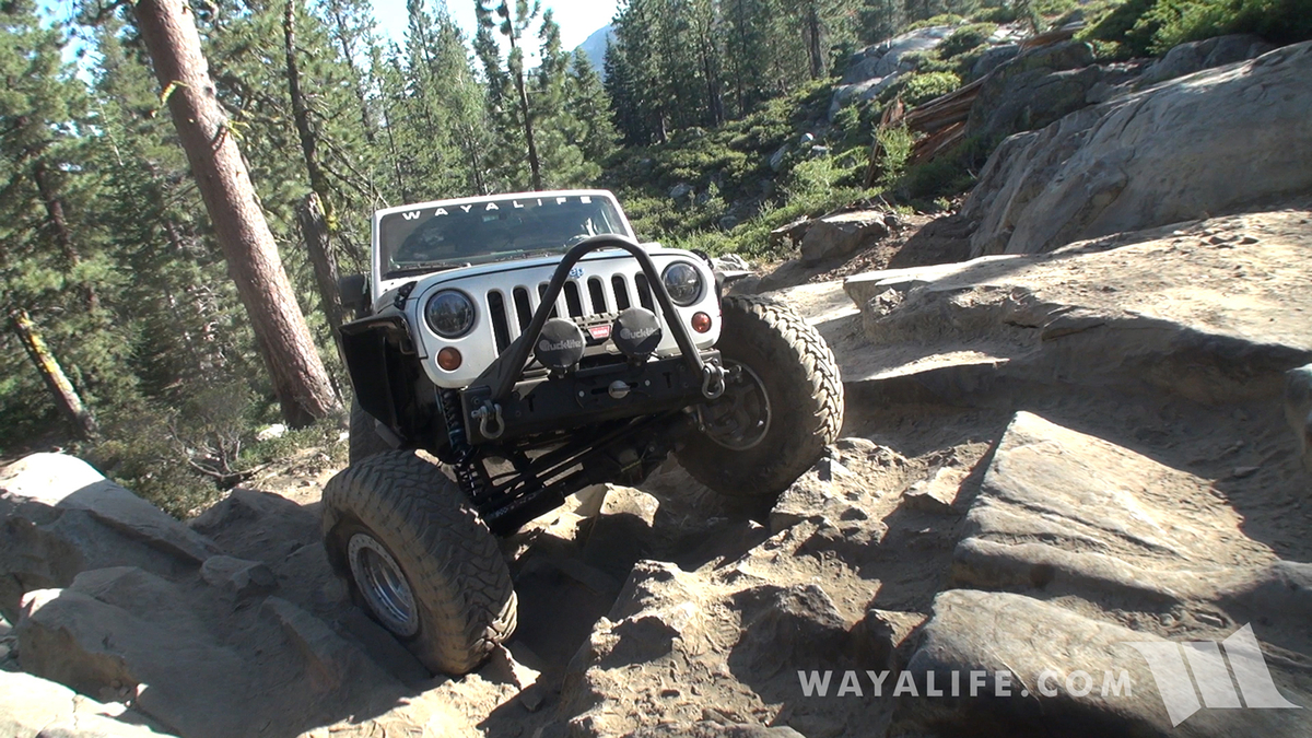 00125.MTS.00_01_24_34.Still002