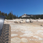 00011.MTS.00_00_11_17.Still001