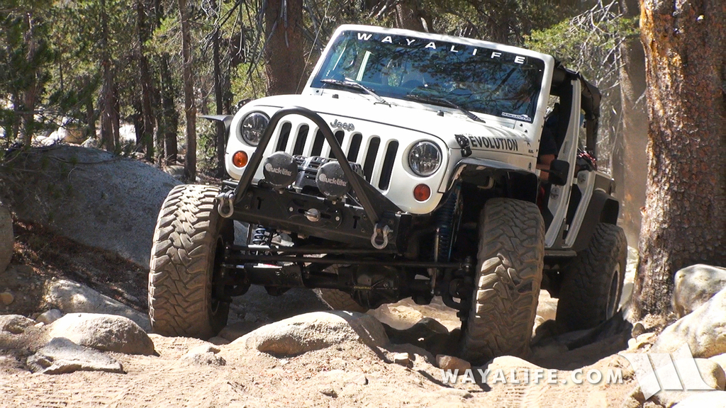 00028.MTS.00_00_28_50.Still002