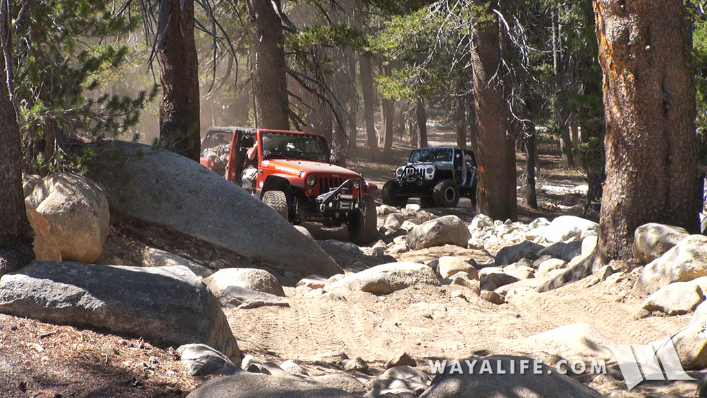 00029.MTS.00_00_24_54.Still001