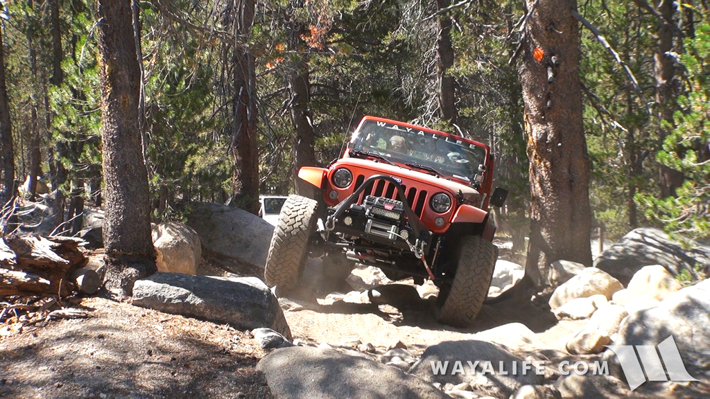 00029.MTS.00_00_50_13.Still002