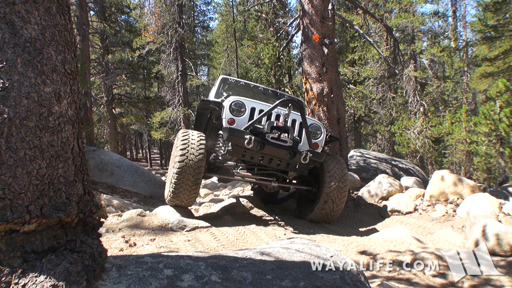 00029.MTS.00_01_14_29.Still003