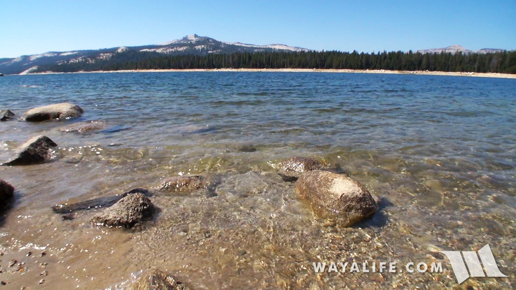 00040.MTS.00_00_09_20.Still001