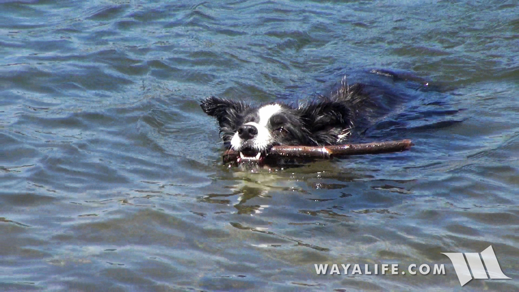 00041.MTS.00_00_13_57.Still001