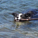 00041.MTS.00_00_13_57.Still001