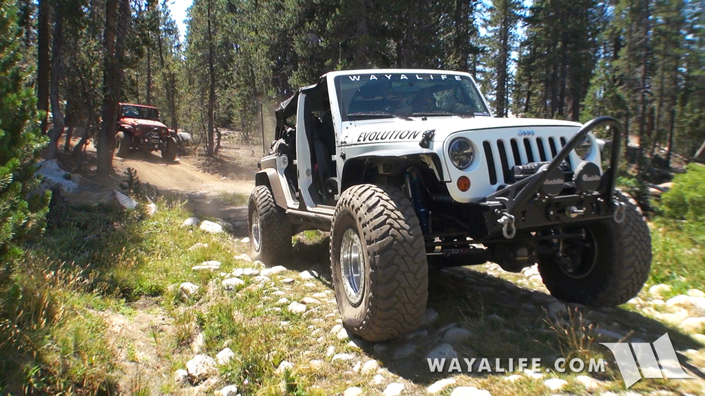 00043.MTS.00_00_10_19.Still001