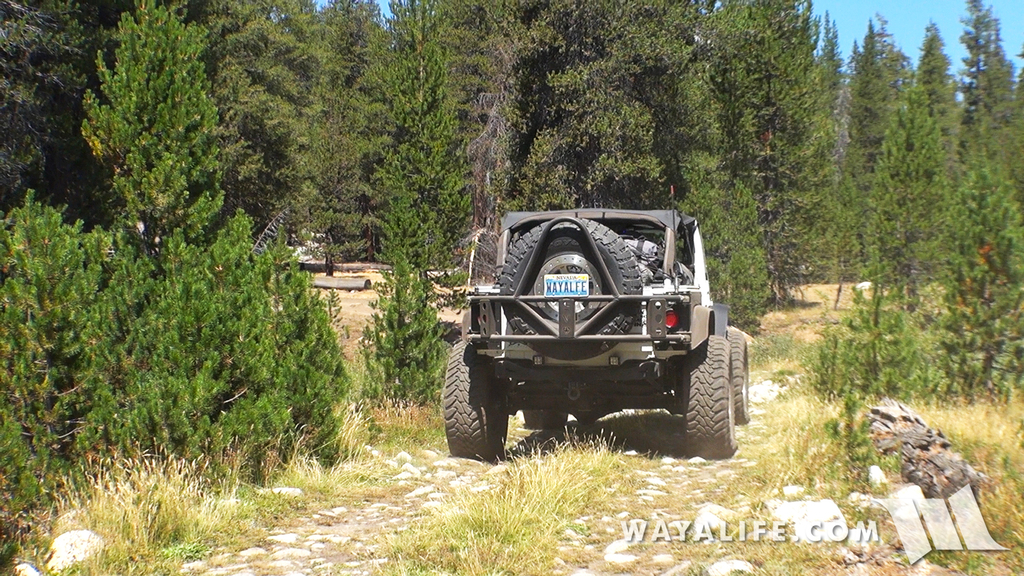 00043.MTS.00_00_17_54.Still002