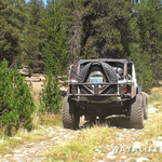 00043.MTS.00_00_17_54.Still002