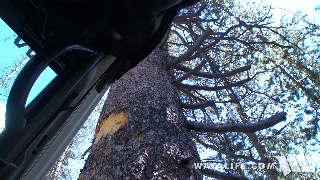 00045.MTS.00_00_03_15.Still001