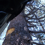 00045.MTS.00_00_03_15.Still001