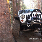 00045.MTS.00_01_21_15.Still003