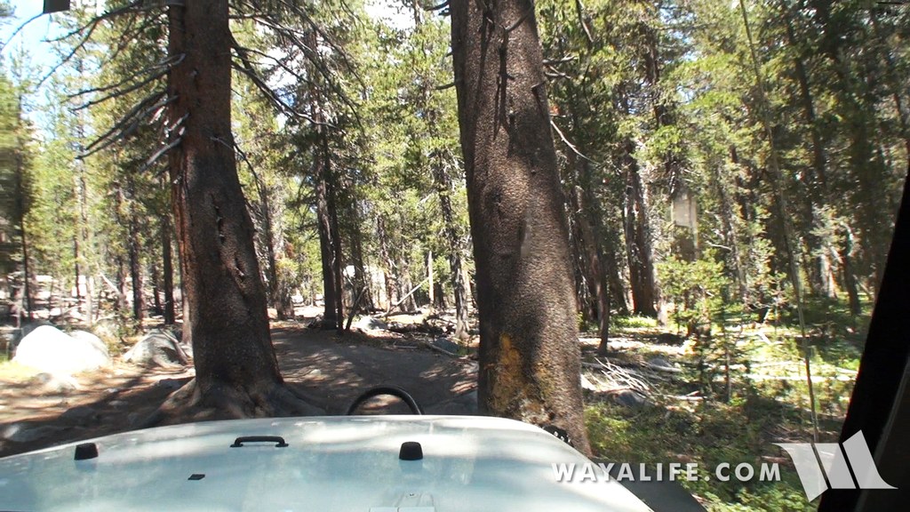 00046.MTS.00_00_24_19.Still001