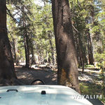 00046.MTS.00_00_24_19.Still001